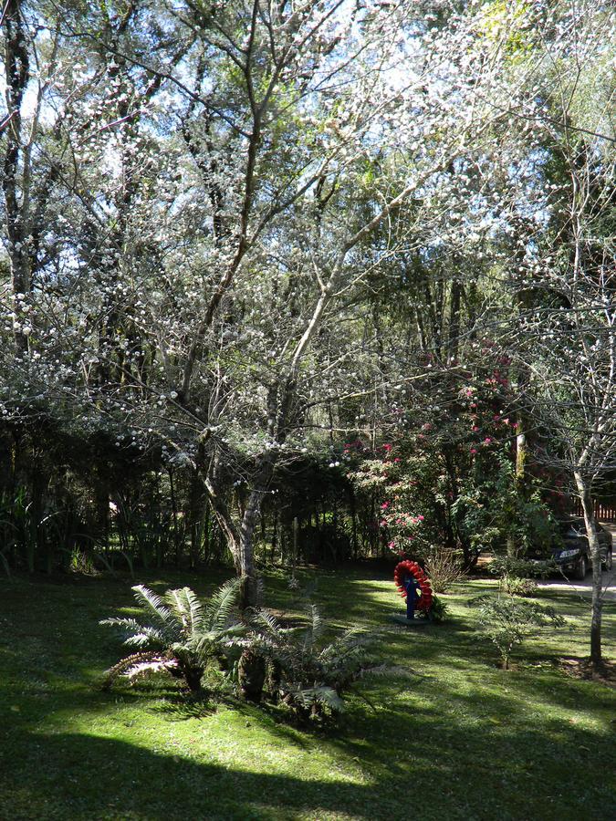 Recanto Dos Kerr Monte Verde  Exterior photo